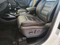 Kia Sorento Platinum Edition 4WD / PANO / BELÜFTUNG Blanc - thumbnail 16