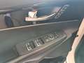 Kia Sorento Platinum Edition 4WD / PANO / BELÜFTUNG Blanc - thumbnail 15