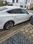 Audi A5 Coupe 2.0 TDI quattro S tronic sport Weiß - thumbnail 3