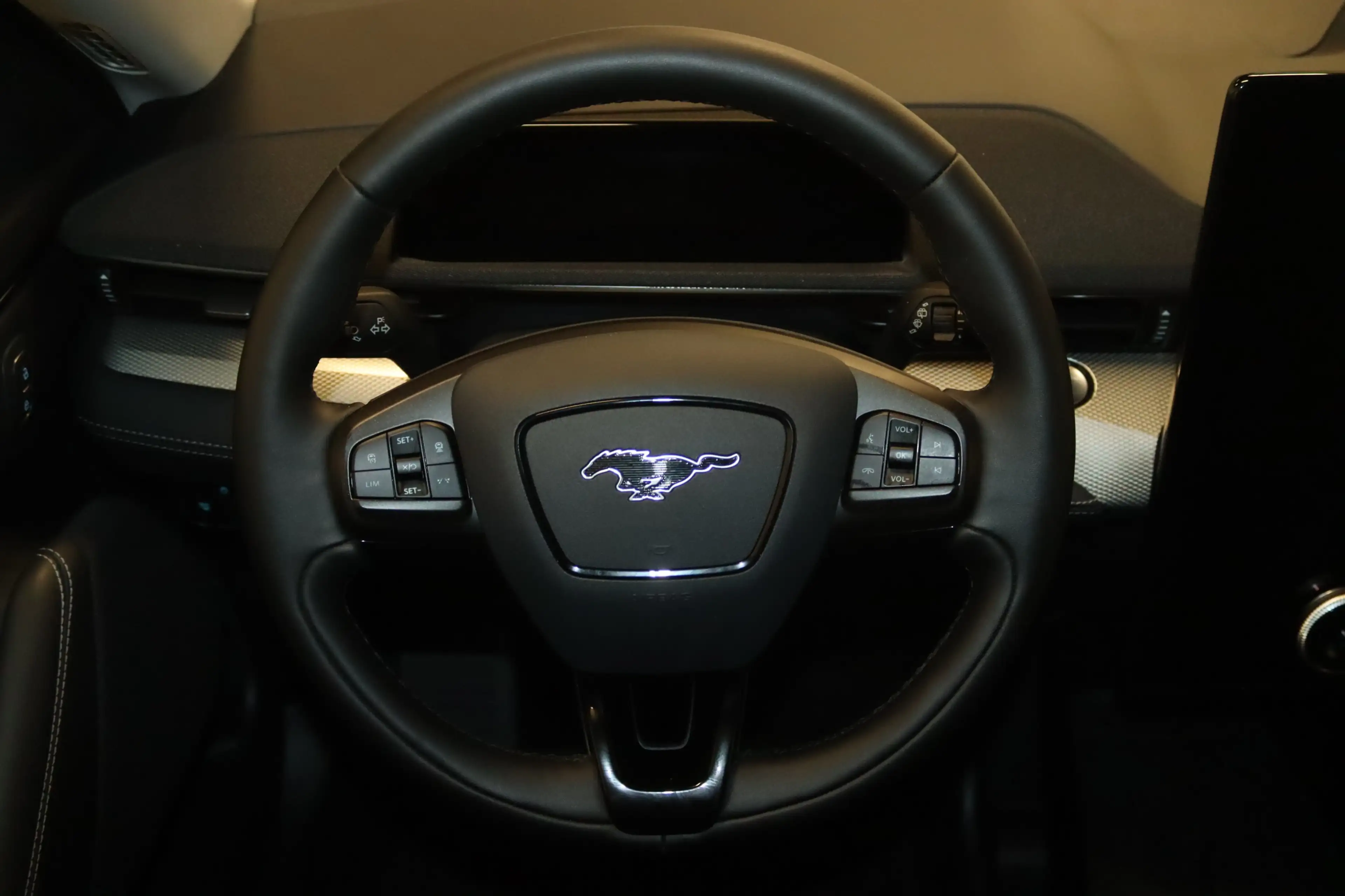 Ford Mustang Mach-E 99 kw h-NAV-LED-KAMERA-ACC-APPS- — photo 13