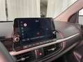 Kia Picanto 1,2 DPI Gold | Stahl Wien 22 Blau - thumbnail 13