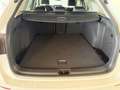 Volkswagen Golf Variant 1.5 TSI 110 kW Goal Weiß - thumbnail 12