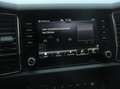 Skoda Kodiaq 1.5 TSI 150pk Automaat Business Edition 5p Panoram Grijs - thumbnail 24