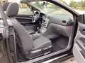 Ford Focus Coupe-Cabriolet 2.0 16V Black Magic Klima Schwarz - thumbnail 13