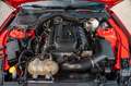 Ford Mustang 2,3 Dark Horse Premium Voll LCD Rot - thumbnail 20
