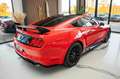 Ford Mustang 2,3 Dark Horse Premium Voll LCD Rot - thumbnail 5
