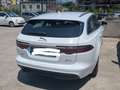 Jaguar XF XF II Sportbrake 2.0d Pure Business Edition 180 cv Bianco - thumbnail 6