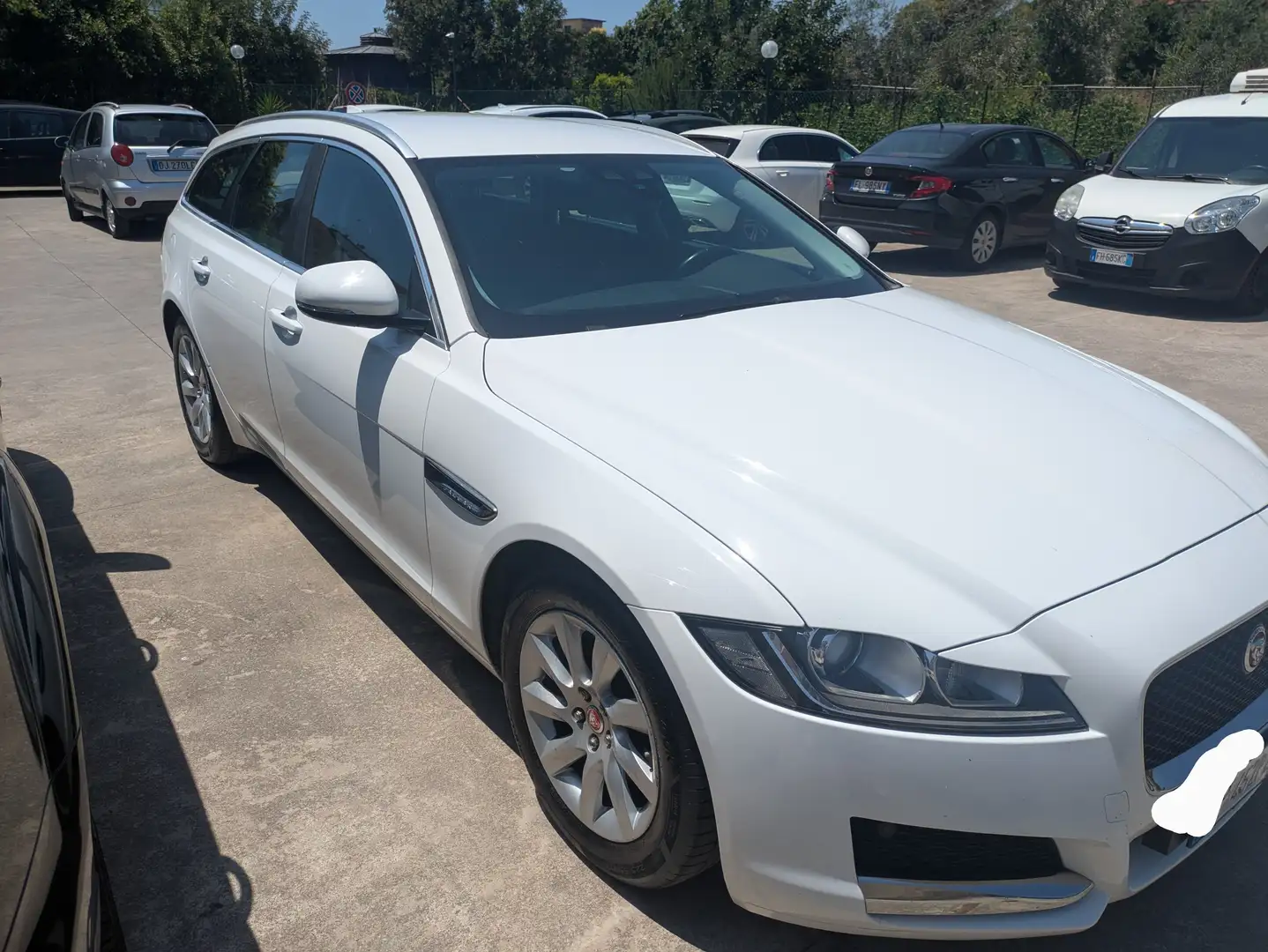 Jaguar XF XF II Sportbrake 2.0d Pure Business Edition 180 cv Bianco - 2