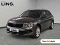 Skoda Kamiq Selection TSI DSG Grau - thumbnail 1