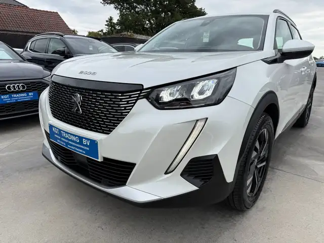 Peugeot 2008 view 10