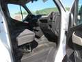Renault Master MASTER FGN 140.33 DCI L2H2 Blanc - thumbnail 12
