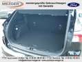 Ford Kuga Plug-In Hybrid Vignale Schwarz - thumbnail 7