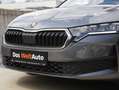 Skoda Octavia Essence TSI Grau - thumbnail 6
