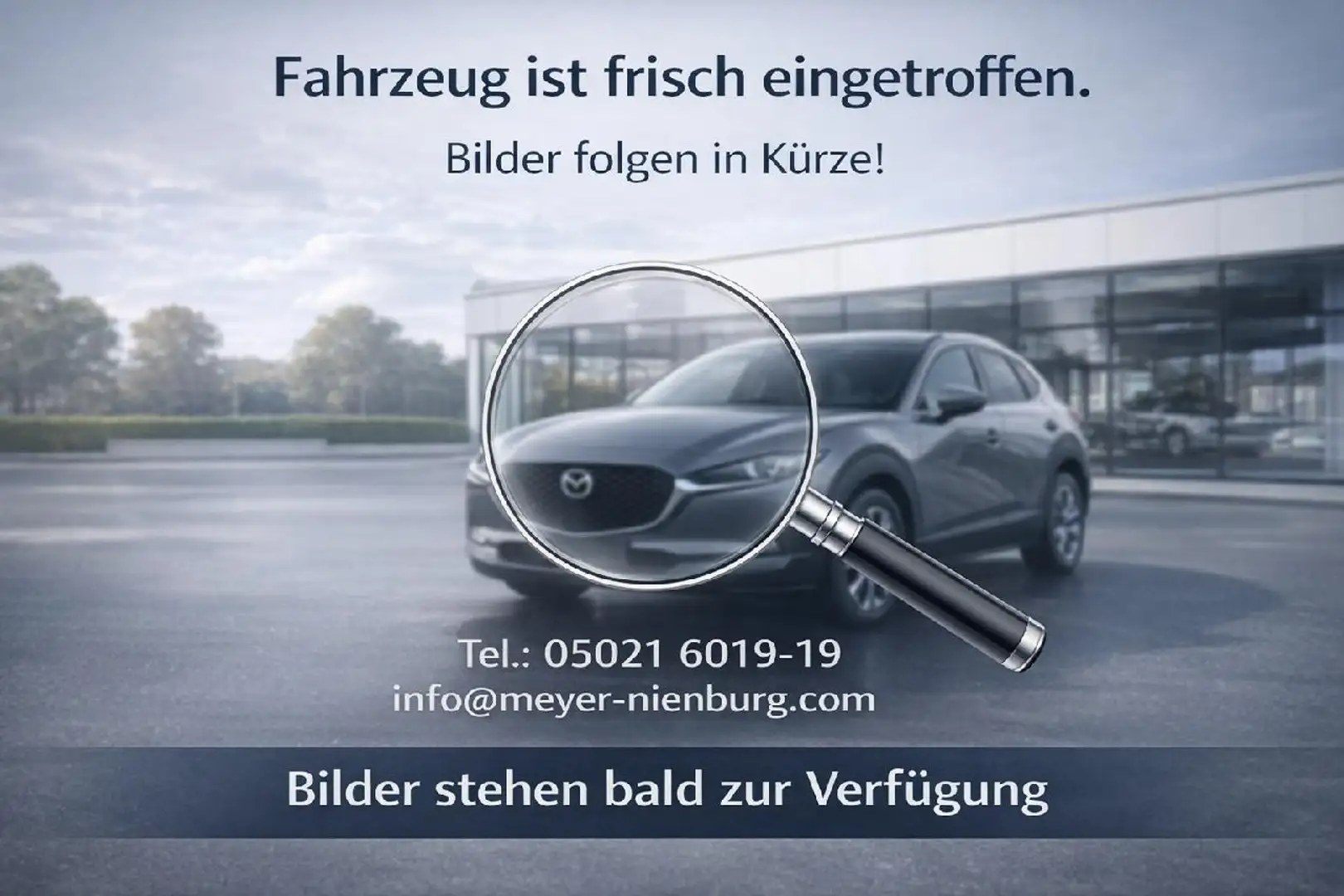 Ford Fiesta Trend Zahnriemen 08.2025 neu Argent - 1