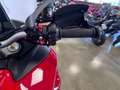 Ducati Multistrada 950 RED Rot - thumbnail 13