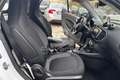 smart forTwo fortwo EQ Passion Bianco - thumbnail 12