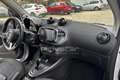 smart forTwo fortwo EQ Passion Bianco - thumbnail 13