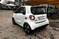 smart forTwo fortwo EQ Passion Bianco - thumbnail 7