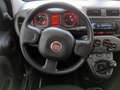 Fiat Panda 1.0 Mild Hybrid City Cross 4x2 Weiß - thumbnail 8