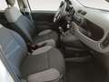 Fiat Panda 1.0 Mild Hybrid City Cross 4x2 Weiß - thumbnail 11