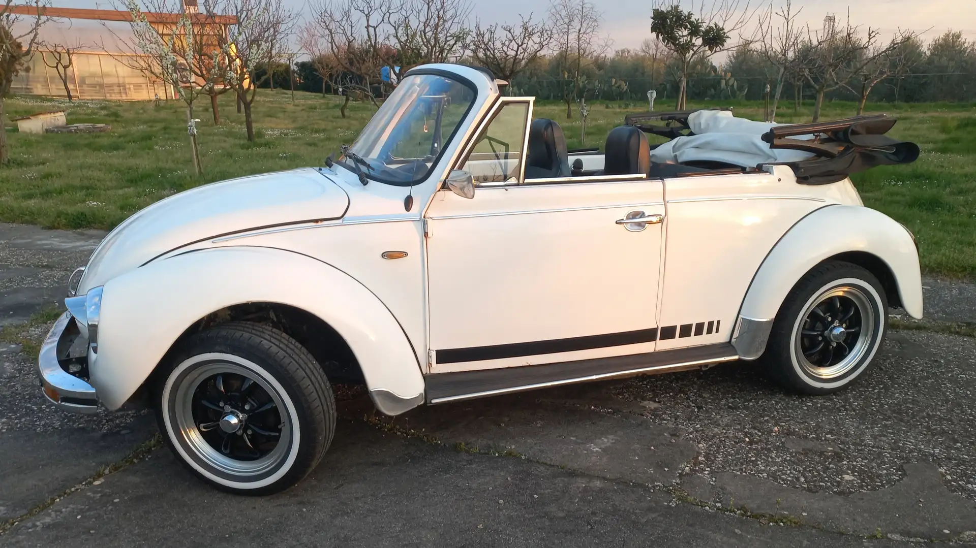 Volkswagen Beetle Karmann cabrio ASI Bílá - 2