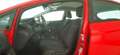 Ford Fiesta 1.5 TDCi 75CV 5 porte Business Rot - thumbnail 14