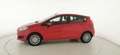 Ford Fiesta 1.5 TDCi 75CV 5 porte Business Rot - thumbnail 4