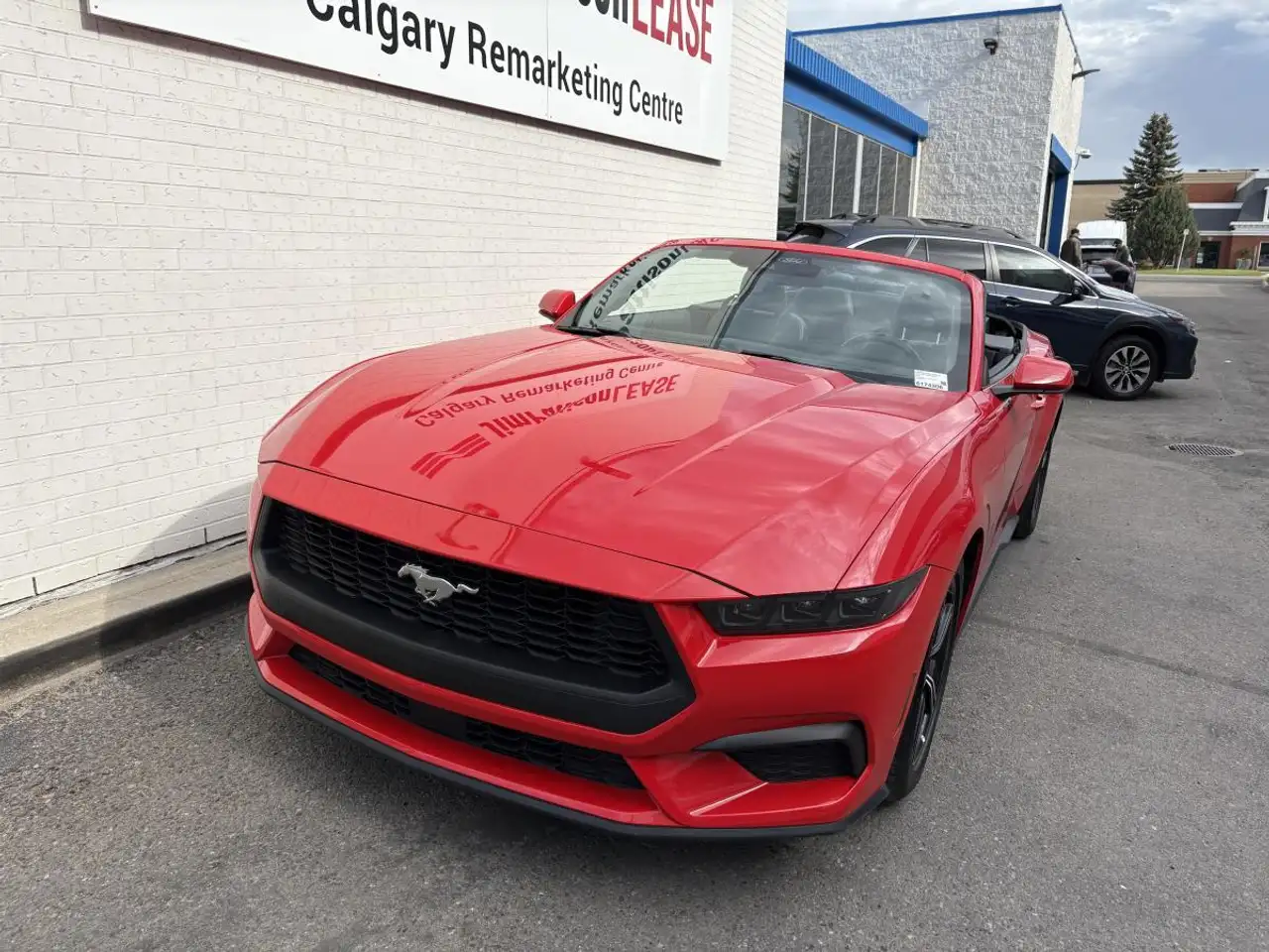 Ford Mustang снимка Ford Mustang