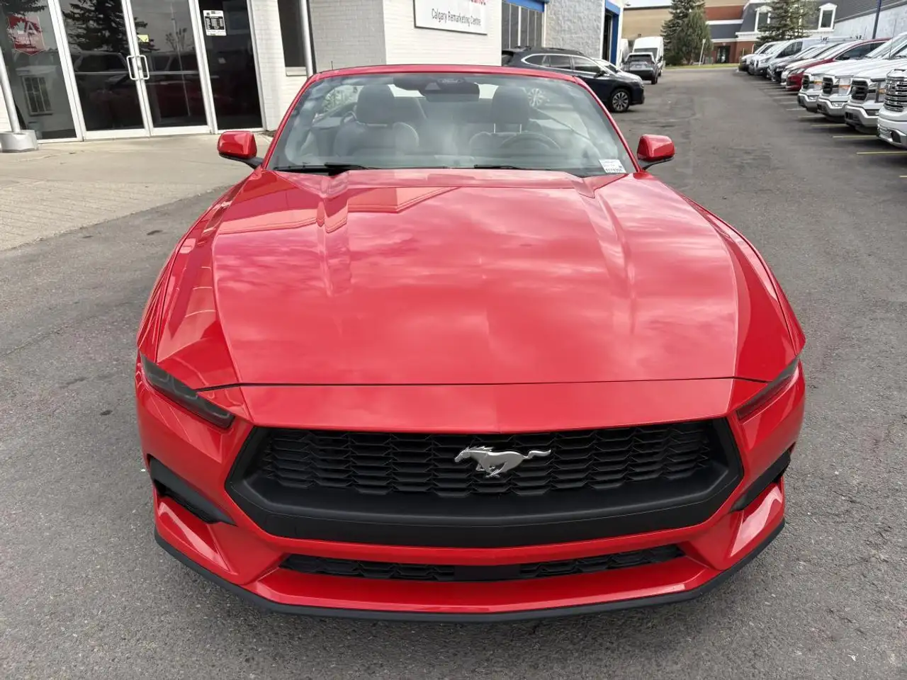 Ford Mustang снимка Ford Mustang