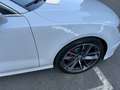 Audi A7 Audi a7 Quattro business plus s-tronic Bianco - thumbnail 9
