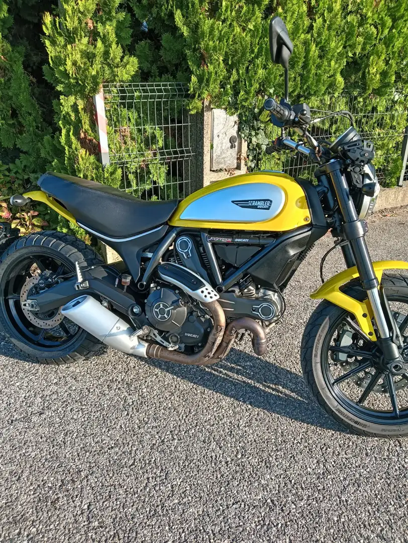 Ducati Scrambler Galben - 1