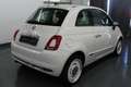 Fiat 500 Anniversario 105 Klimaauto+Panorama+Apple+PDC+16J! Wit - thumbnail 7