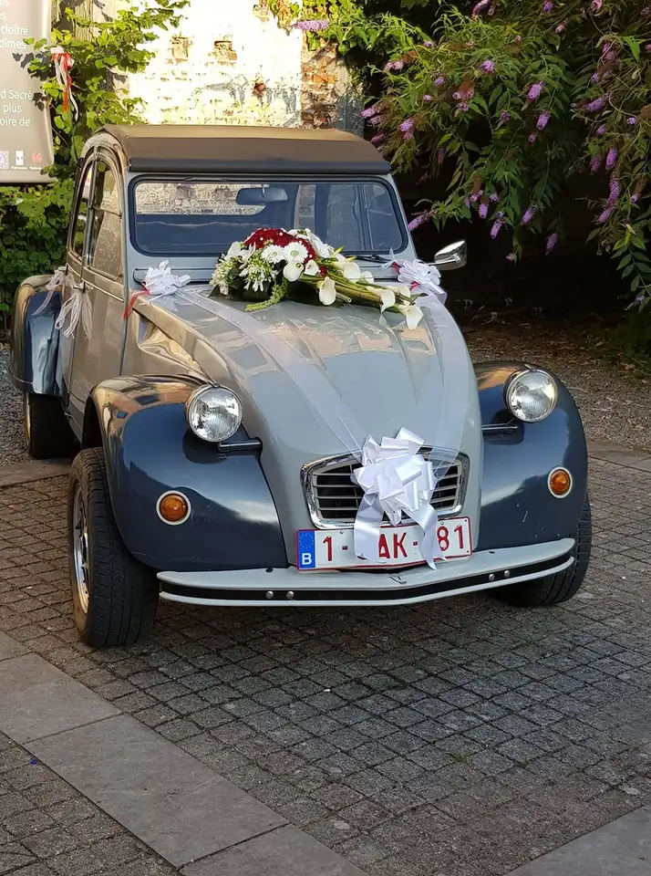 Citroen 2CV, foto 3