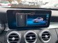 Mercedes-Benz C 200 d *Ava/Multibeam/AHK/Comand/Totw/Spur/Cam* Grau - thumbnail 22