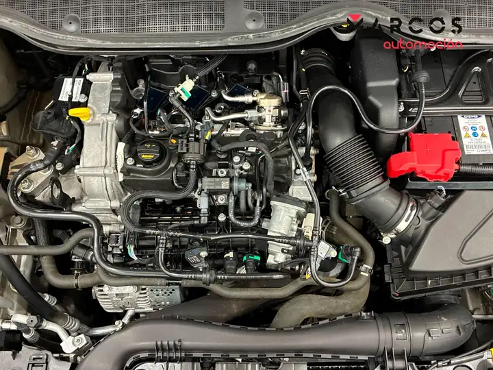 Ford Fiesta 1.0 EcoBoost MHEV ST-Line 5p (2021) 2022, foto 14