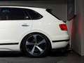 Bentley Bentayga 6.0 W12 4WD LUXUS SUV l Glacier White l Brunel Le Weiß - thumbnail 14