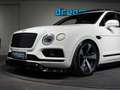Bentley Bentayga 6.0 W12 4WD LUXUS SUV l Glacier White l Brunel Le Weiß - thumbnail 7