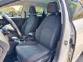 SEAT Leon Leon ST Executive 2,0 TDI CR Start-Stop DSG Weiß - thumbnail 15