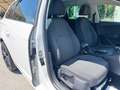 SEAT Leon Leon ST Executive 2,0 TDI CR Start-Stop DSG Weiß - thumbnail 30