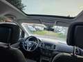 SEAT Alhambra Style  /7 Sitze Kamera Dachreling Weiß - thumbnail 7