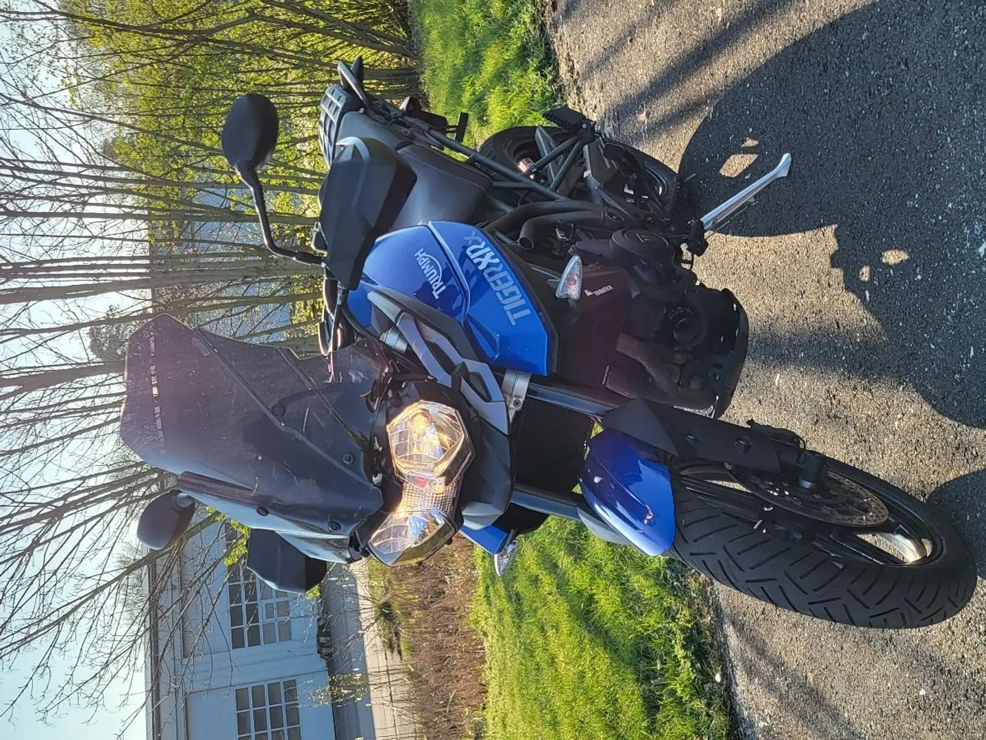 Triumph Tiger 800 Albastru - 1
