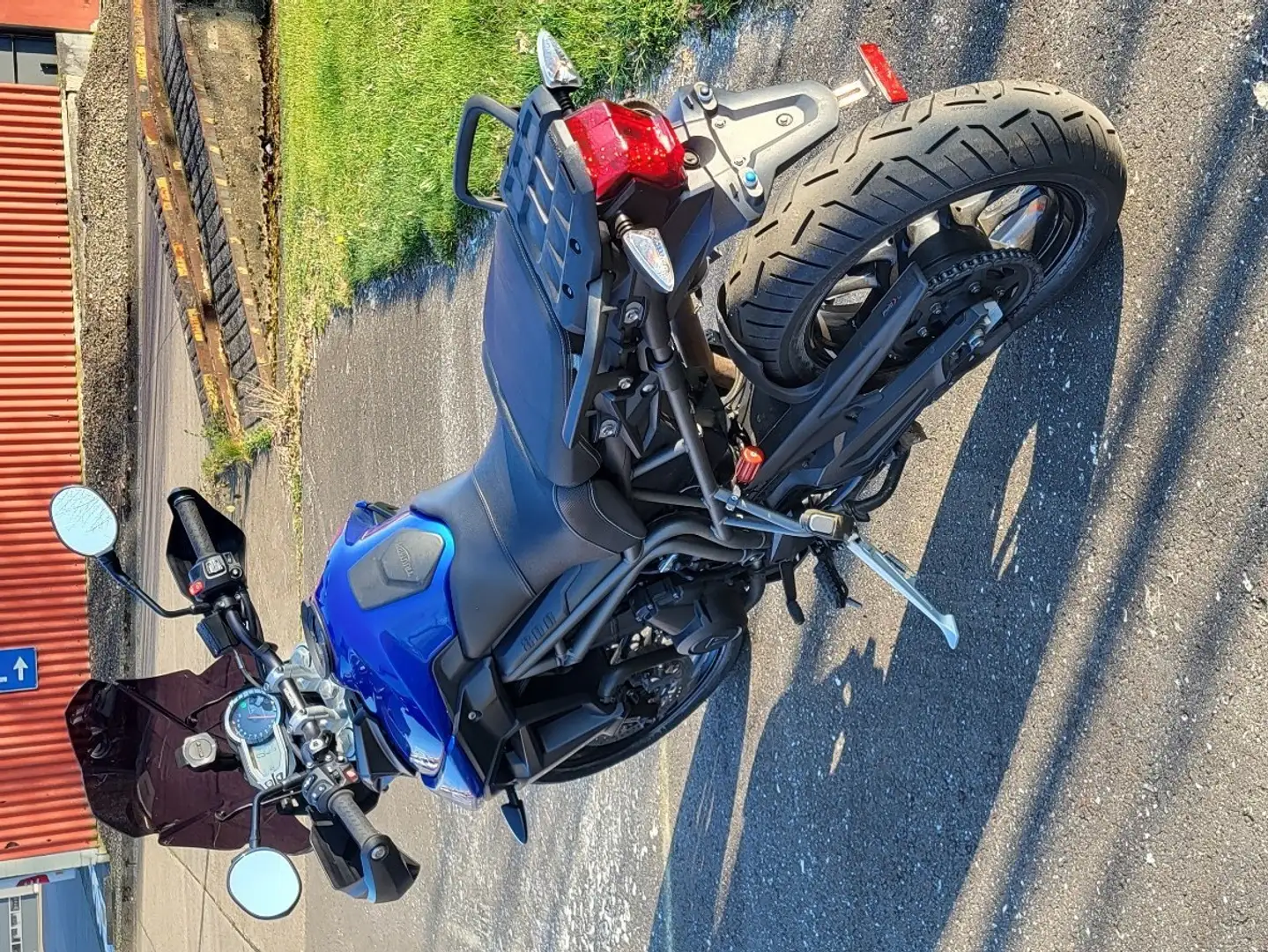 Triumph Tiger 800 Albastru - 2