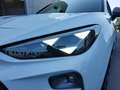 CUPRA Terramar VZ 2.0 TSI DSG 4WD AHK/HuD/MATRIX/PANORAMA/SENNHEI Blanc - thumbnail 5