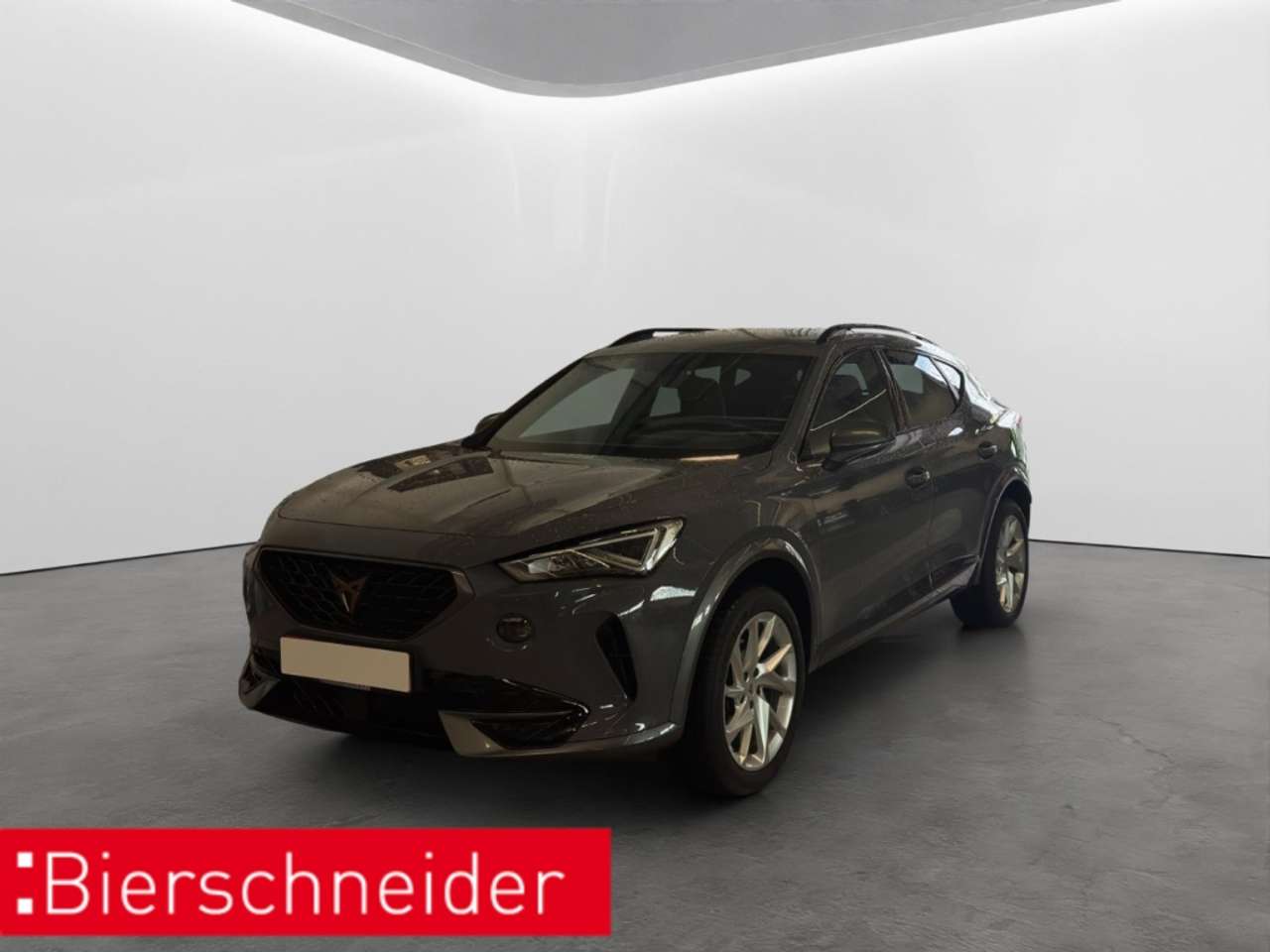 Cupra Formentor 2023 — 1.5 TSI DSG LED NAVI ACC