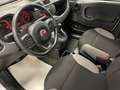 Fiat Panda 1.0 Hybrid 70 CV City Life Grigio - thumbnail 9