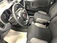 Fiat Panda 1.0 Hybrid 70 CV City Life Grigio - thumbnail 2