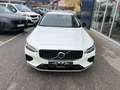 Volvo V60 Plus Dark Recharge Plug-In Hybrid AWD *22.000km* Weiß - thumbnail 2