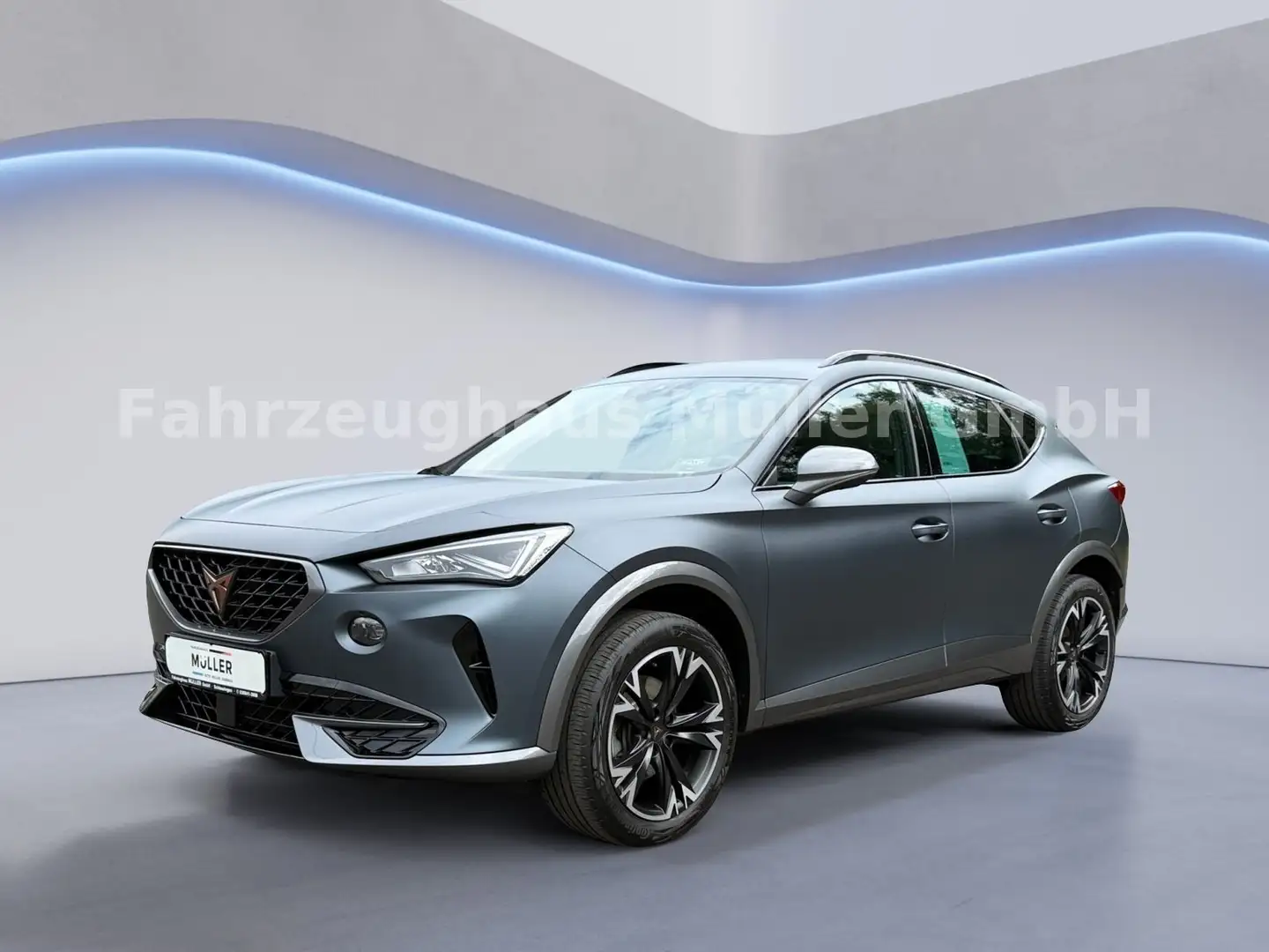 CUPRA Formentor Basis 1.5 TSI 110KW RFK SHZ - 1