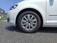 Volkswagen Golf Plus 1.2 tsi Comfortline UNICO PROPRIETARIO KM CERTIFIC Weiß - thumbnail 23