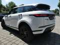 Land Rover Range Rover Evoque P300 S Hybrid LED/KAM/ASSIST Blanco - thumbnail 20